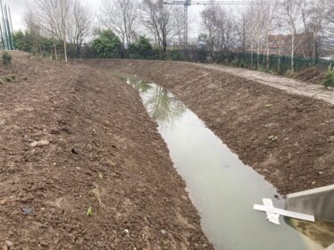 Marrowbone Millennium Park